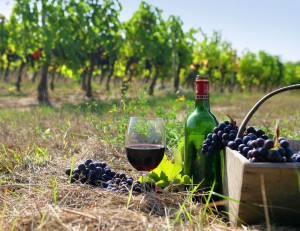 Armenia wine